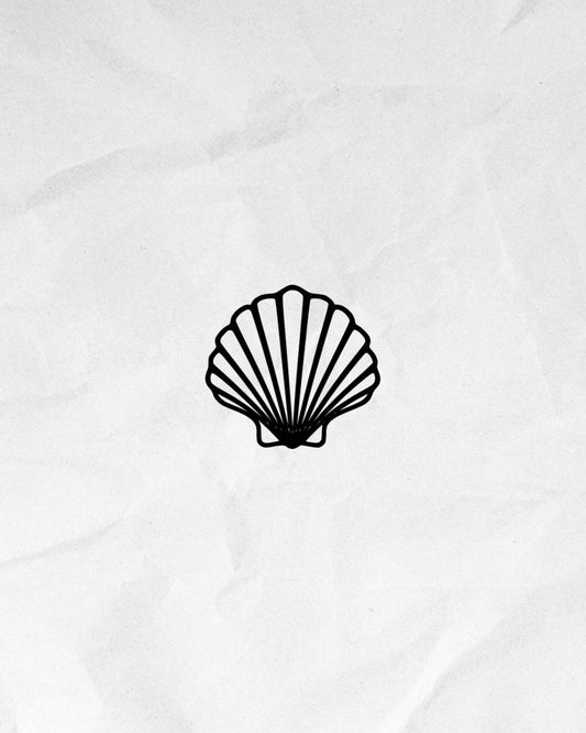 N°322 - Coquillage