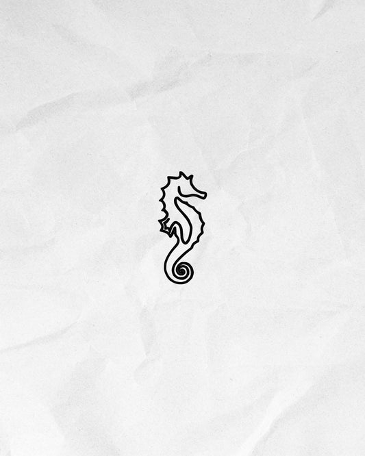 N°570 - Hippocampe minimaliste