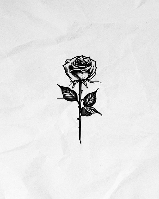N°441 - Rose