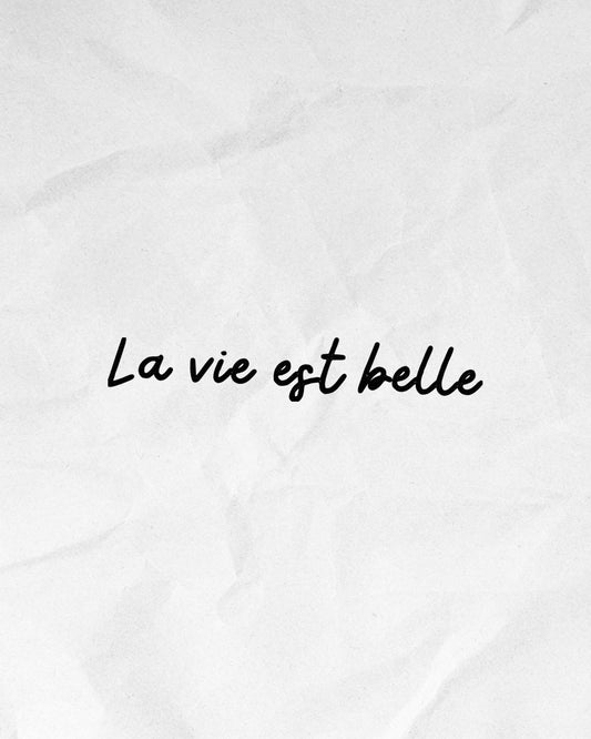 N°645 - La vie est belle