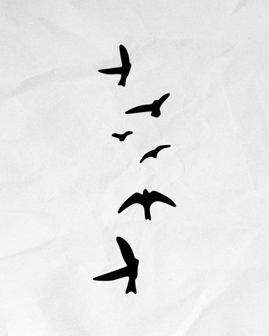N°714 - Envolé d'oiseaux
