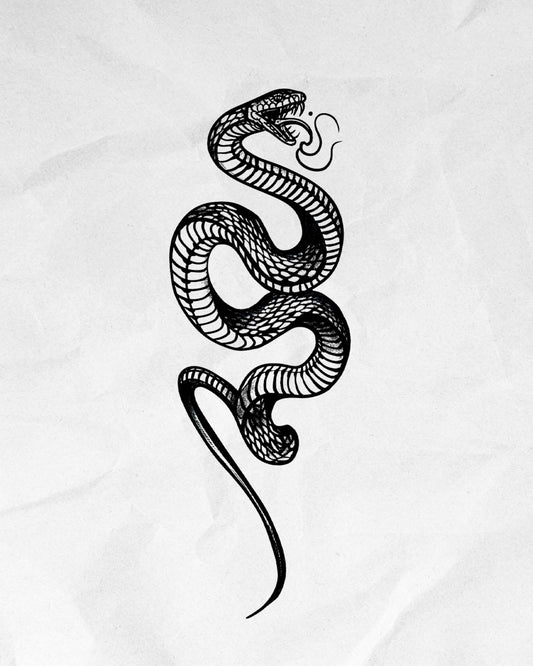 N°727 - Serpent