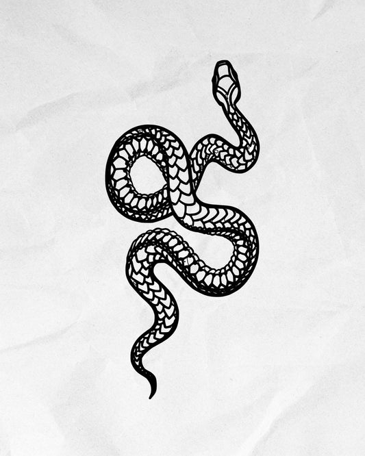 N°738 - Serpent