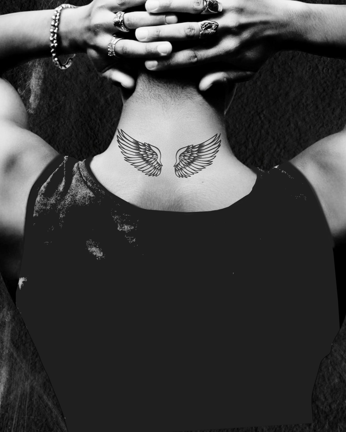 N°523 - Ailes d'ange