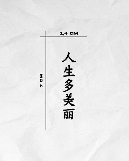 N°230 - Citation chinoise - La vie est belle