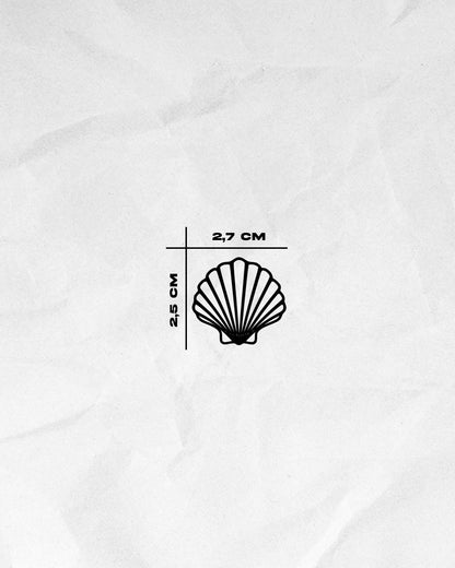 N°322 - Coquillage