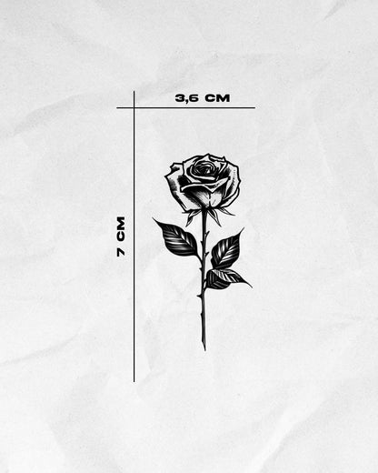 N°441 - Rose