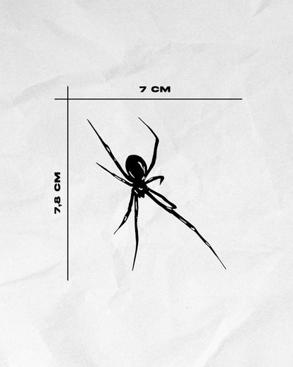 N°704 - Araignée