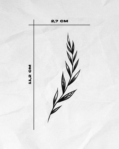 N°655-656 - Pack branches de laurier