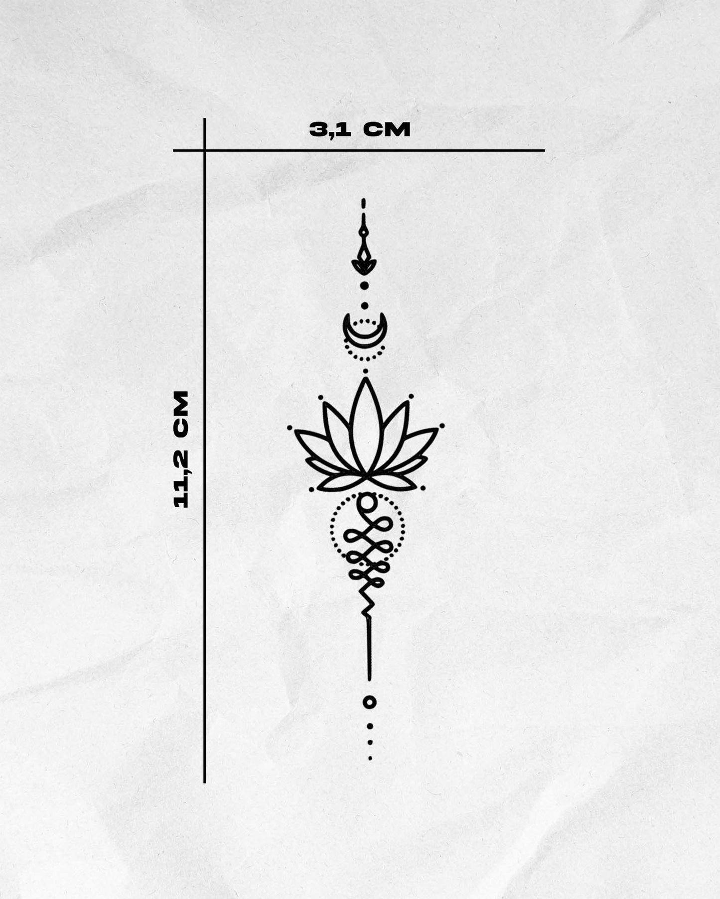 N°664 - Lotus ornemental