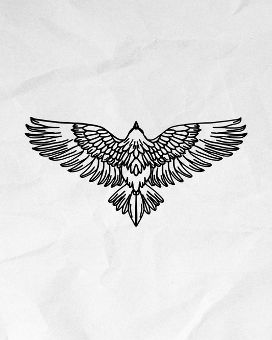 N°719 - Aigle royal