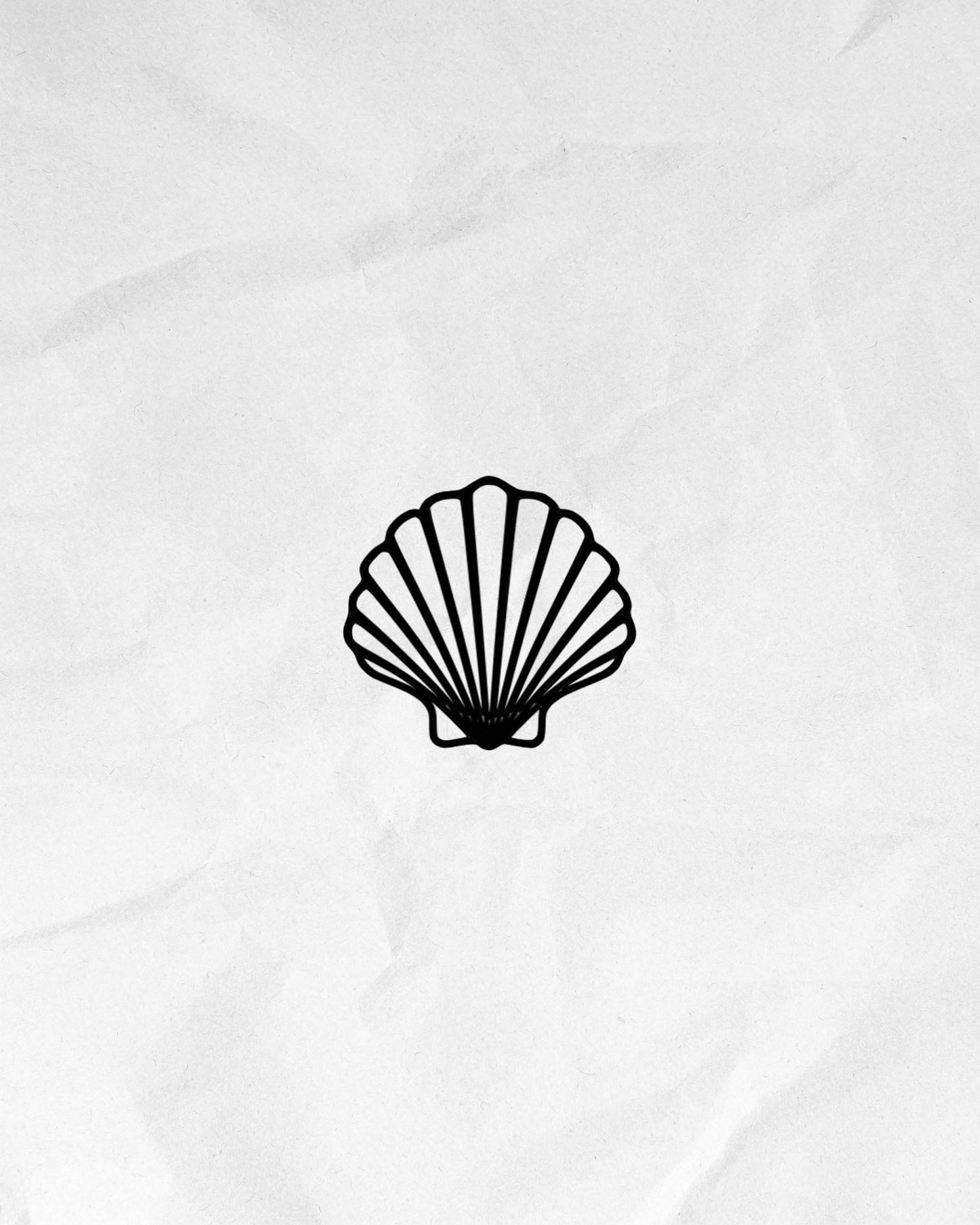N°322 - Coquillage