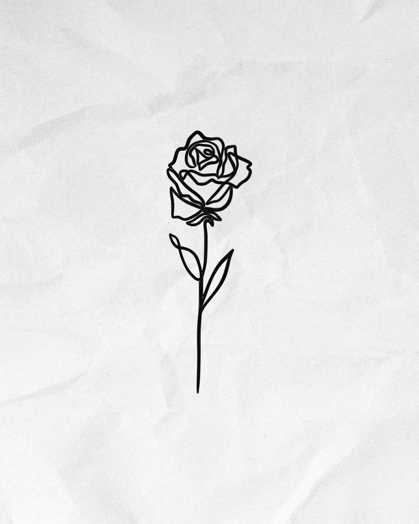 N°629 - Rose un trait