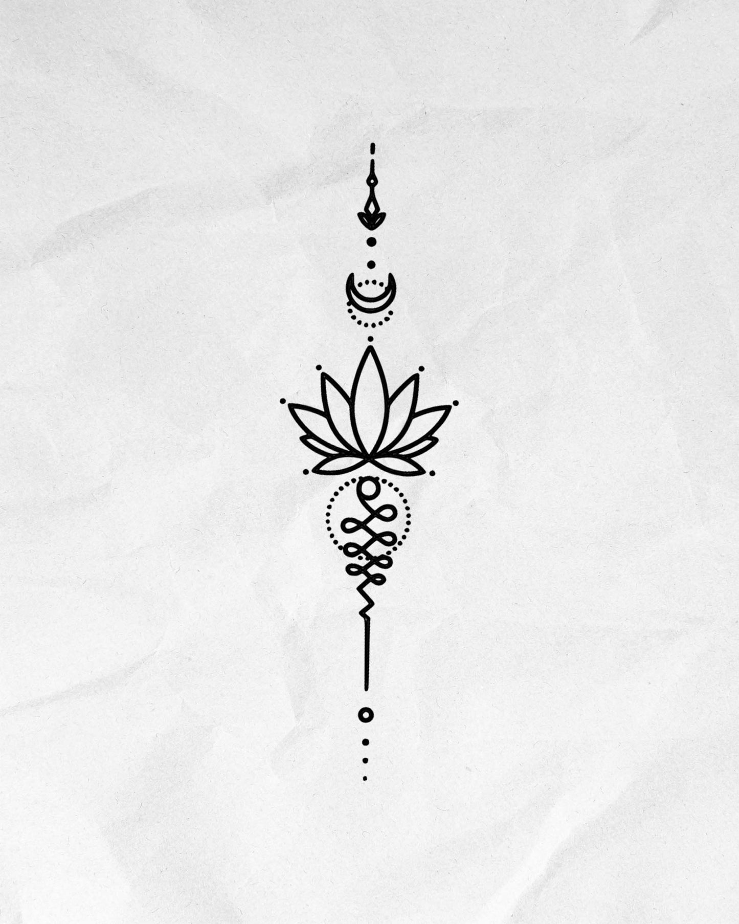 N°664 - Lotus ornemental