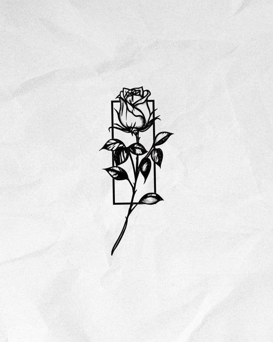 N°675 - Rose